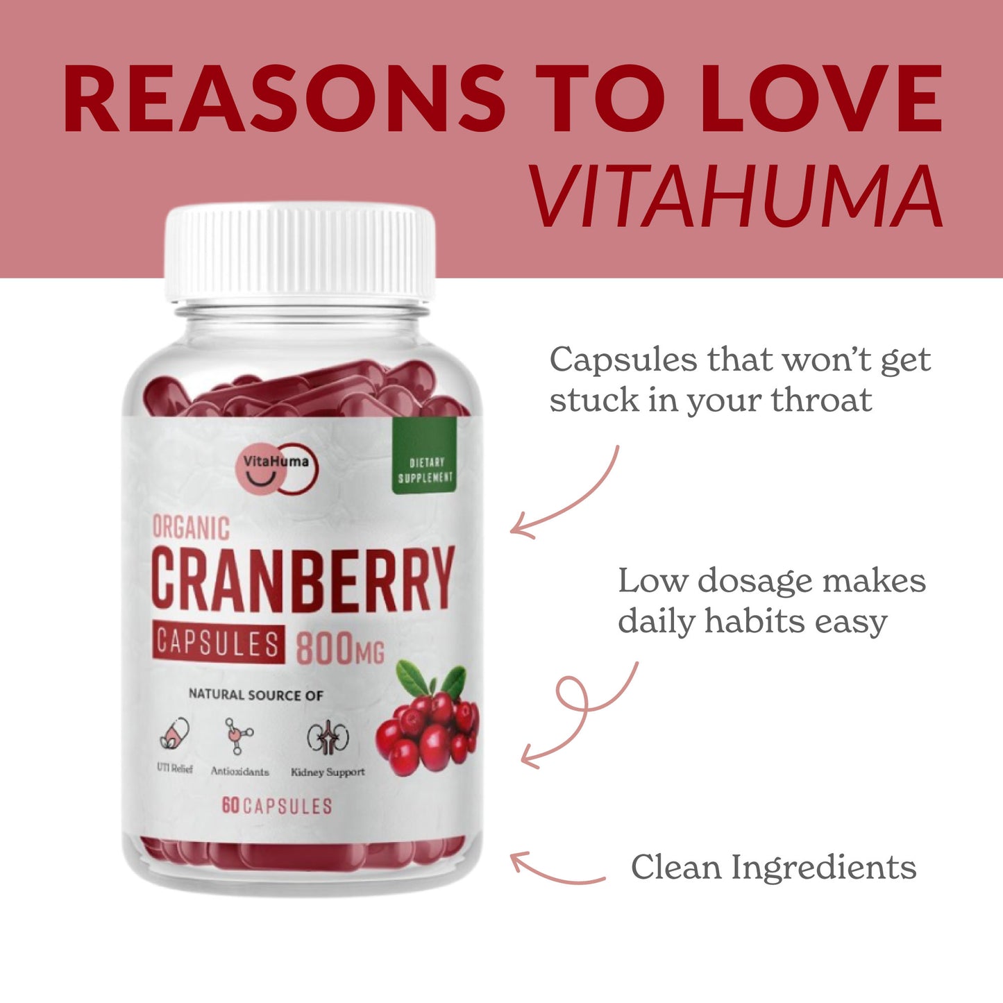 Cranberry Extract Capsules - 6 Bottle Bundle