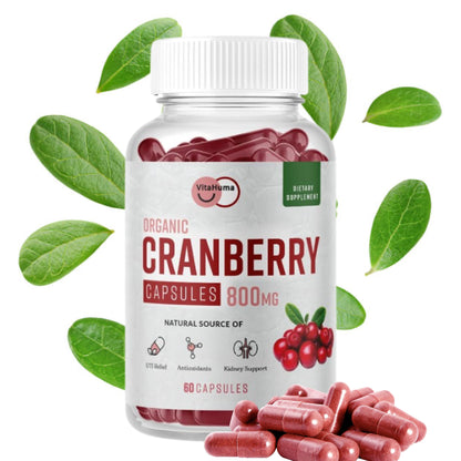 Cranberry Extract Capsules - 1 Bottle